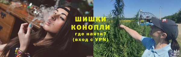 spice Осинники