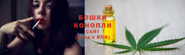 spice Осинники
